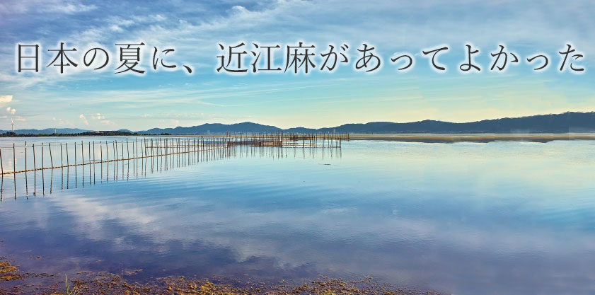 日本の夏に近江麻があってよかった