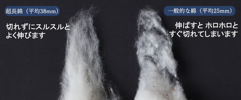 超長綿