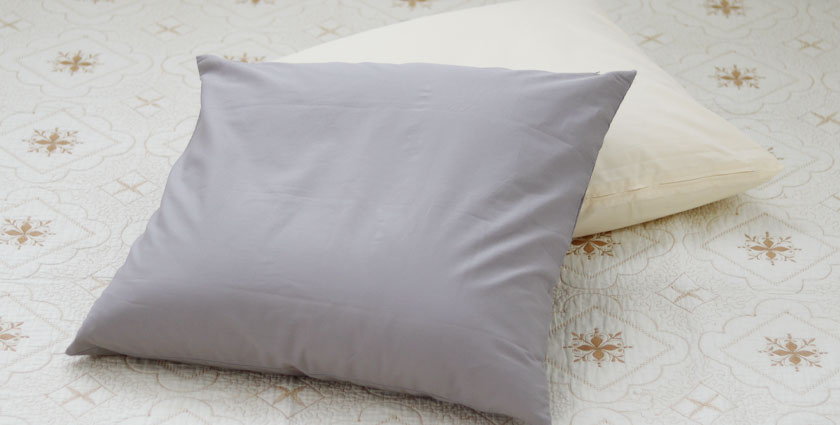 BHカラーの座布団カバー