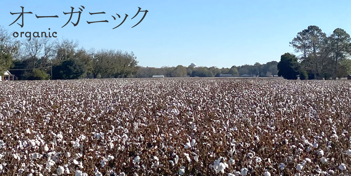 オーガニック