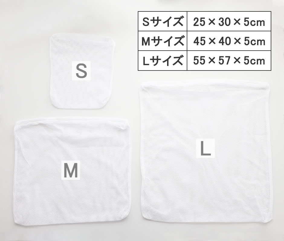 コットンラッセルサイズ感