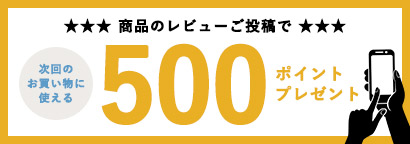 レビュー投稿で500ポイントプレゼント