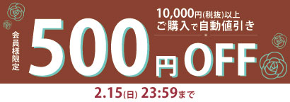 バレンタイン500円OFFクーポン